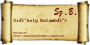Székely Balambér névjegykártya